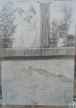 学生作品